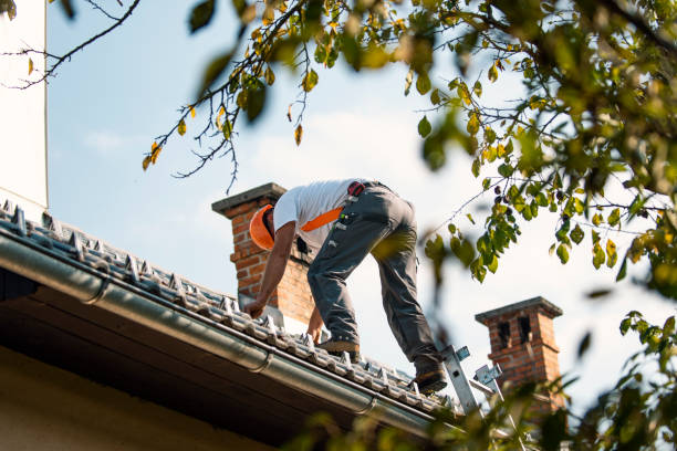 Tile Roofing Contractor in Rock Falls, IL