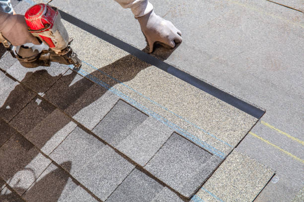 Best Metal Roofing Contractor  in Rock Falls, IL
